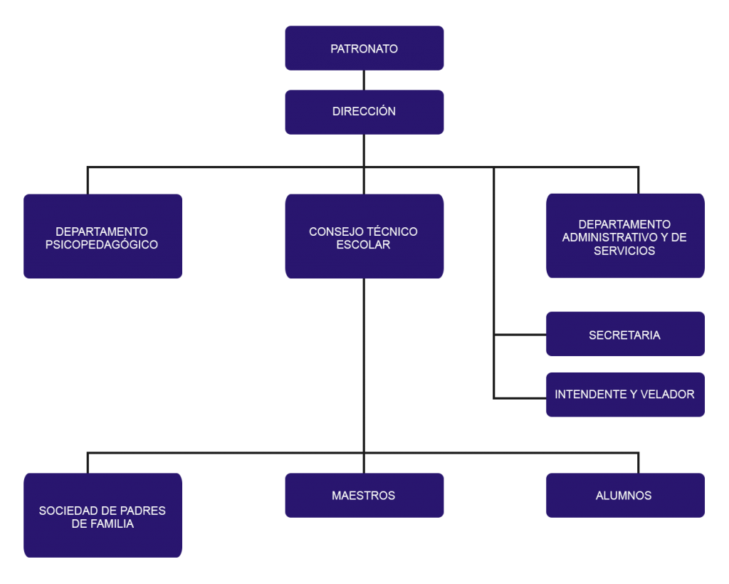 Instituto Patria -Organigrama